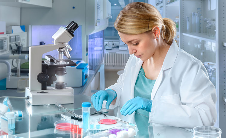 La plaque de PCR en temps réel est un consommable jetable de laboratoire populaire largement utilisé dans les applications liées à la médecine, la génétique, l'immunité, la biochimie